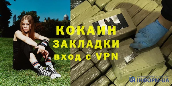 индика Заволжье