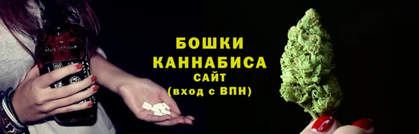 индика Заволжье