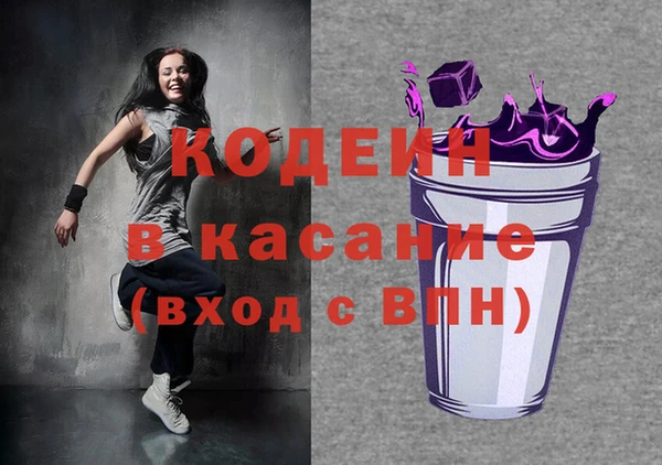 индика Заволжье