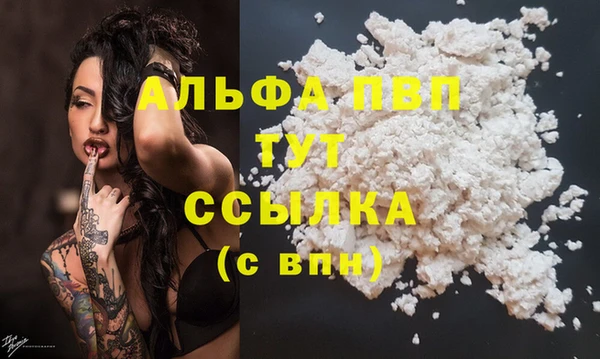 индика Заволжье