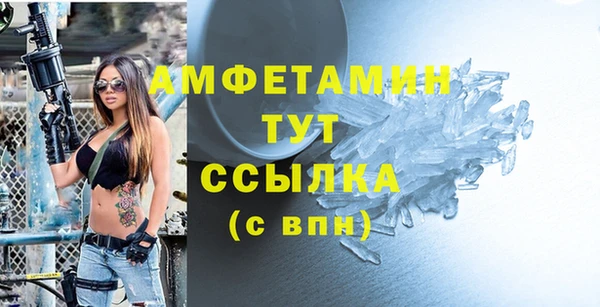индика Заволжье