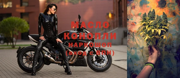 индика Заволжье