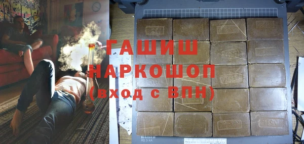 индика Заволжье