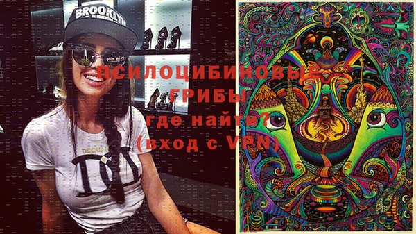 apvp Заволжск
