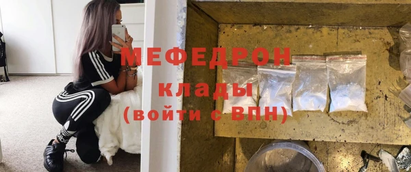 индика Заволжье